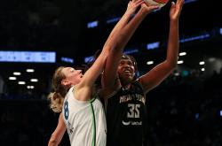 九游游戏下载官网 -明尼苏达森林狼壁纸